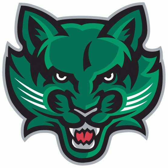Binghamton Bearcats 2001-Pres Secondary Logo v2 iron on transfers for fabric